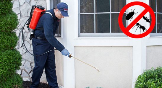 Güney Akrep İlaçlama böcek ilaçlama ve haşere kontrolü — ilaclama-tr.com